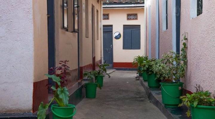 Golden Monkey Guesthouse