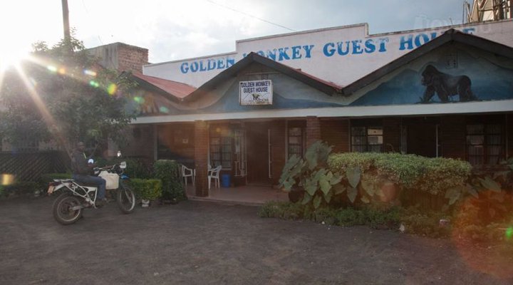 Golden Monkey Guesthouse