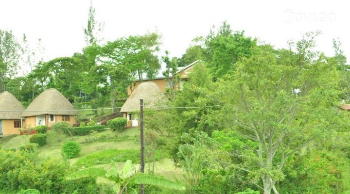 Kitojo Guest Cottages