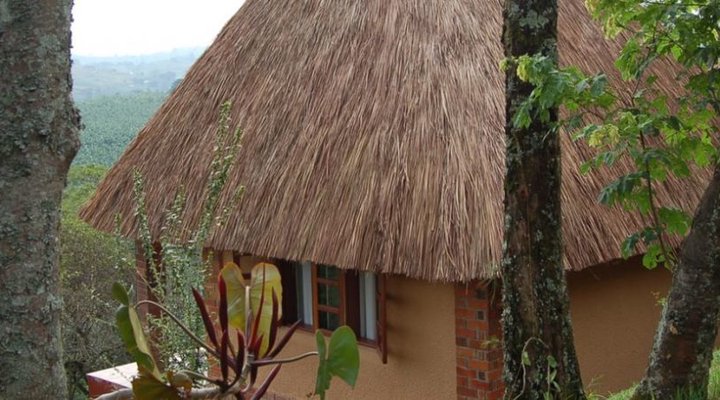 Kitojo Guest Cottages