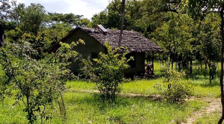Mikumi African cottages