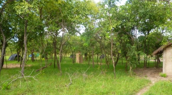 Mikumi African cottages