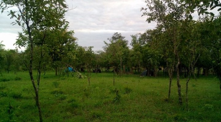 Mikumi African cottages