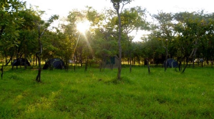 Mikumi African cottages