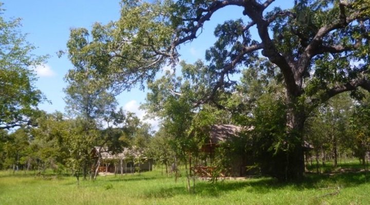 Mikumi African cottages