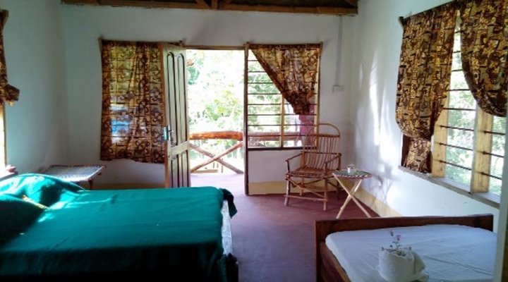 Mikumi African cottages