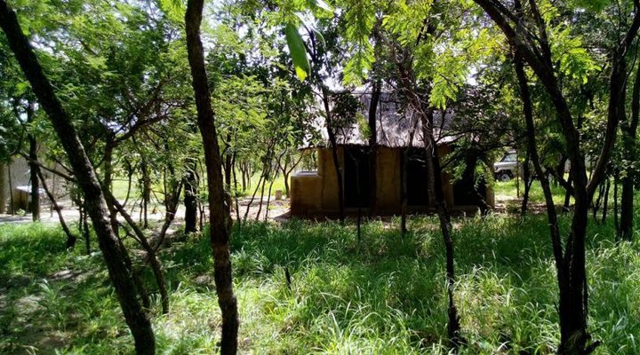 Mikumi African cottages