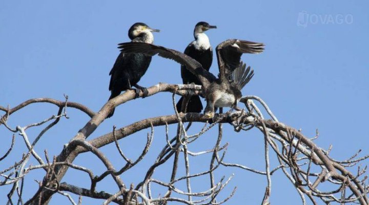 Samuka Island Retreat