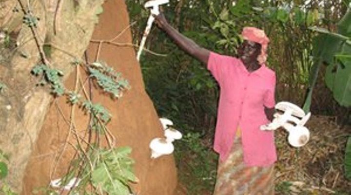Boomu Women's Group