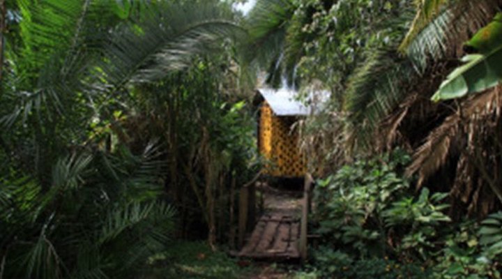 Garden of Eden Campsite