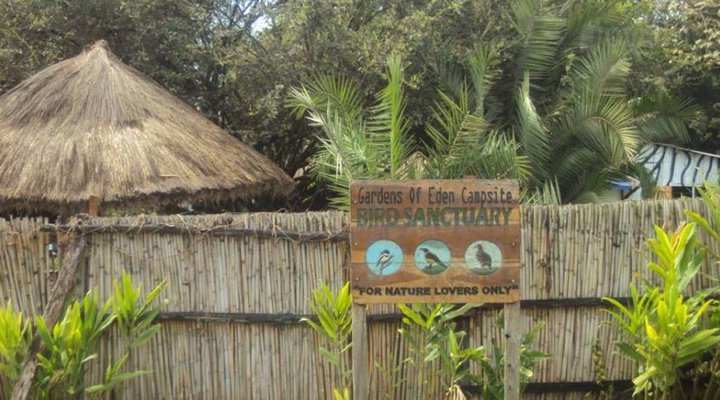 Garden of Eden Campsite