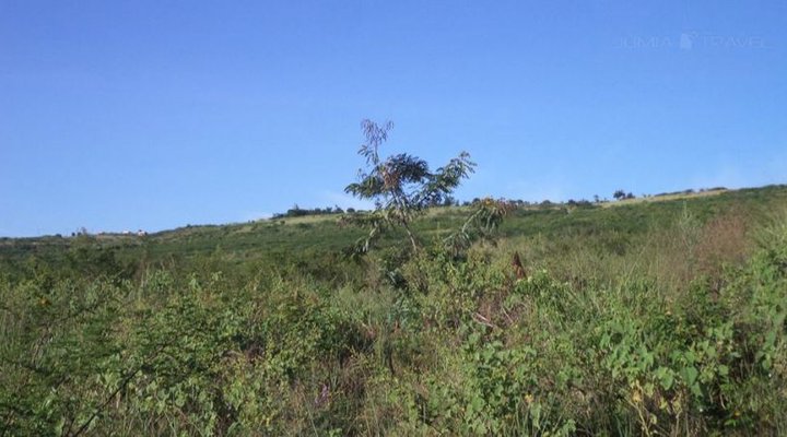 The Elephant Center Campsite