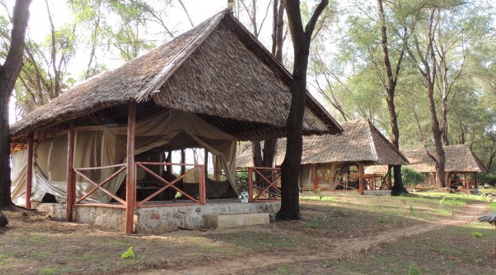 Loyk Tsavo Camp
