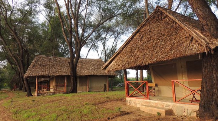 Loyk Tsavo Camp