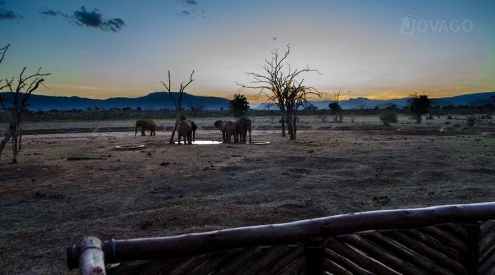 Sentrim Tsavo Camp