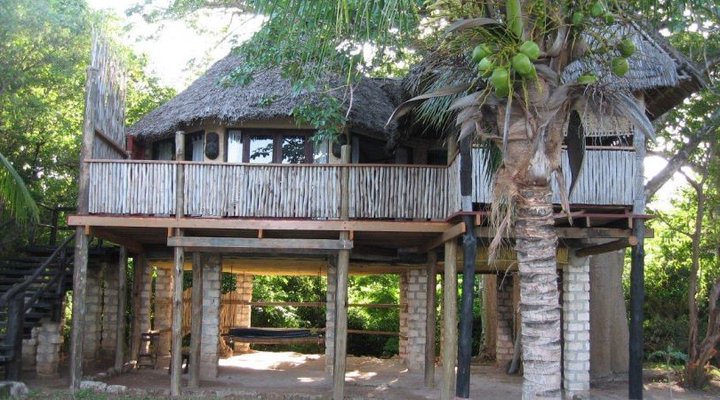 Cove Tree House