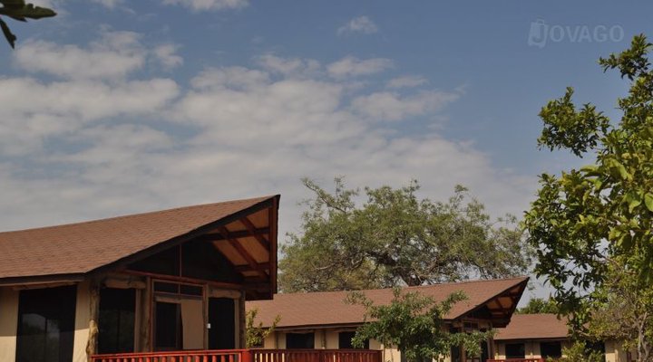 Balloon Camp Tarangire