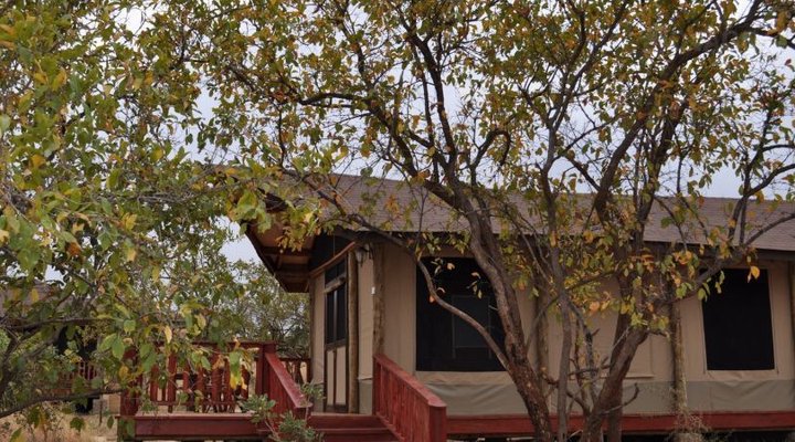 Balloon Camp Tarangire