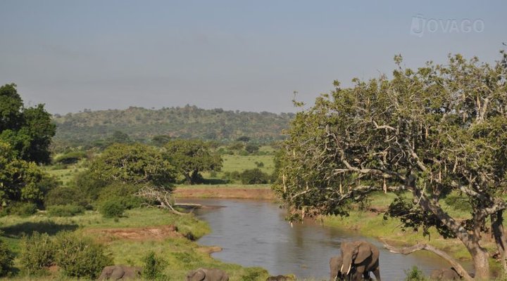 Balloon Camp Tarangire