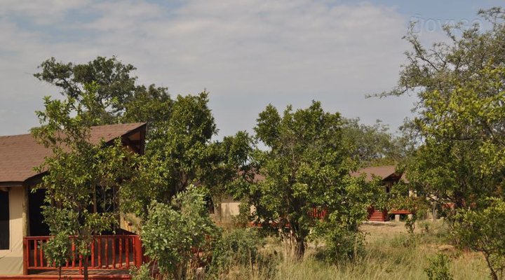 Balloon Camp Tarangire