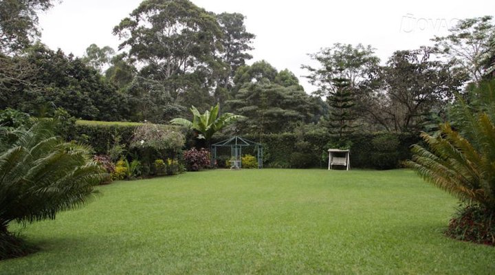 Boni House Bed & Breakfast