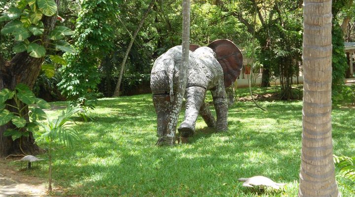 White Elephant Sea & Art Resort