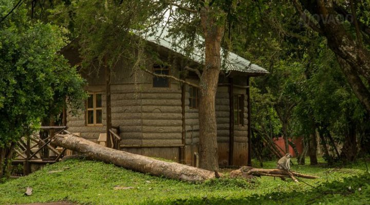 Arcadia Lodge Lake Mburo