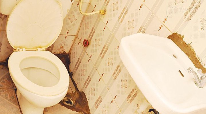 Paradise Hotel Limited