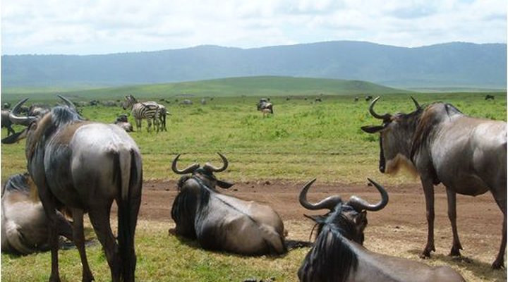Twiga Lodge & Campsite