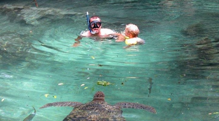 Baraka Aquarium And Bungalows