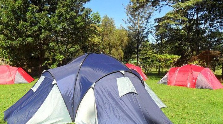 Rhino Campsite