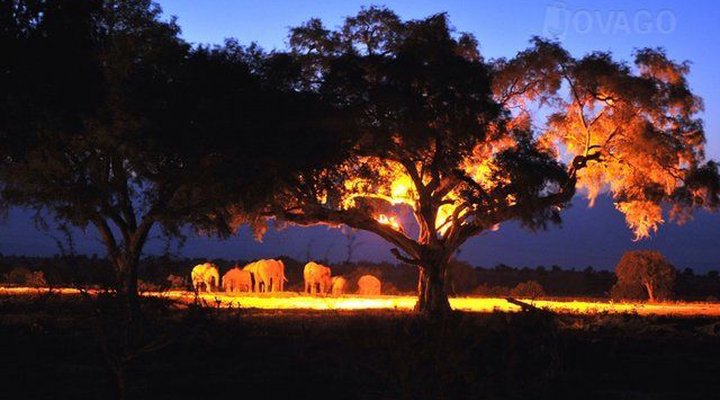 Satao Camp Tsavo East