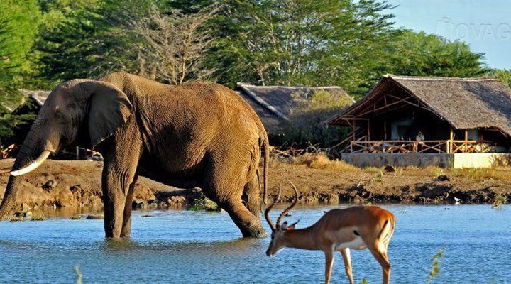 Satao Camp Tsavo East
