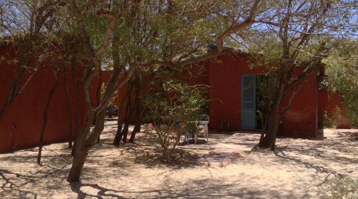 Le Petit Calao d'Abyssinie