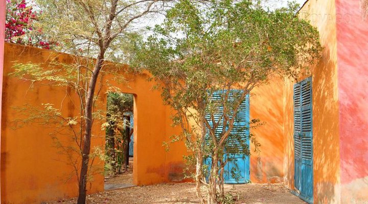 Le Petit Calao d'Abyssinie