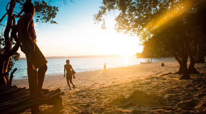 Distant Relative Ecolodge & Backpackers