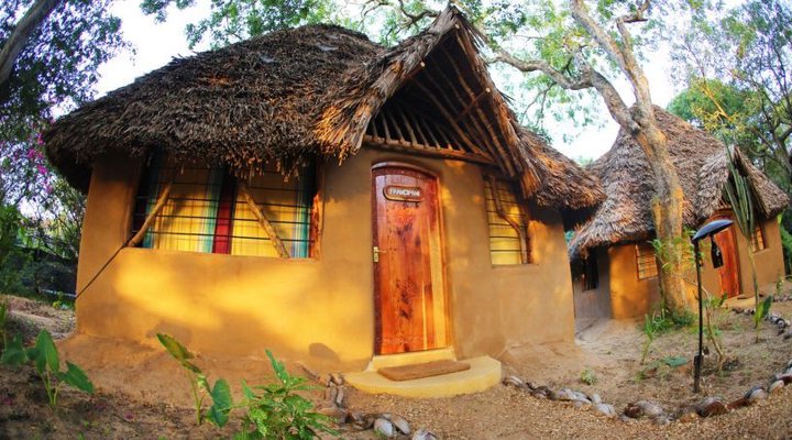 Distant Relative Ecolodge & Backpackers