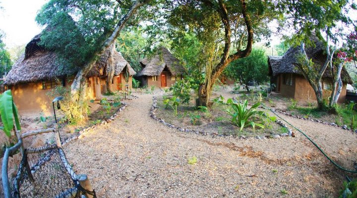 Distant Relative Ecolodge & Backpackers