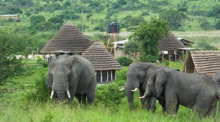 Heritage Safari Lodge