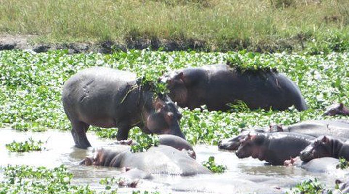 Heritage Safari Lodge
