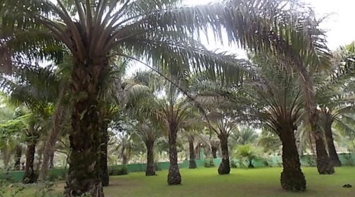 Olomo Beach Resort