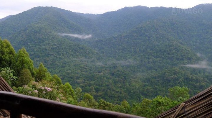 Bwindi Backpackers Lodge