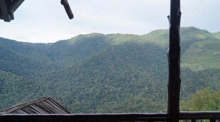 Bwindi Backpackers Lodge