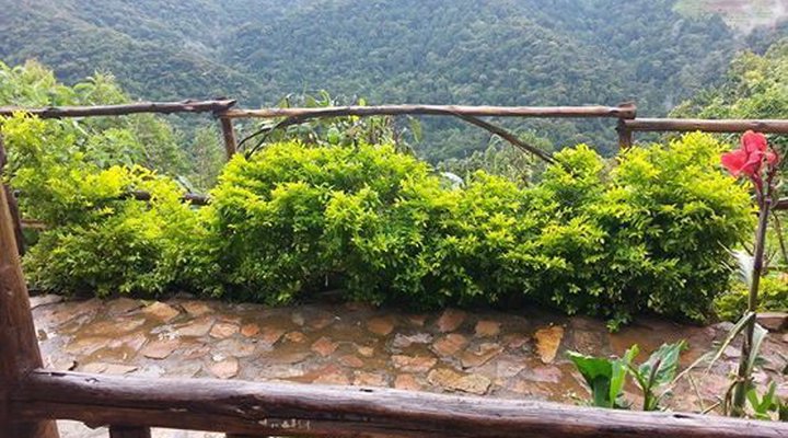 Bwindi Backpackers Lodge