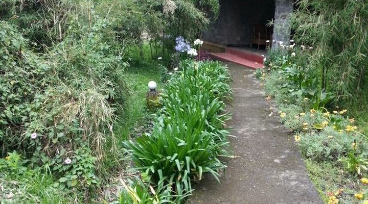 Le Bambou Gorilla Lodge