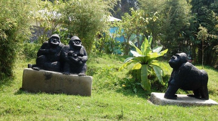 Le Bambou Gorilla Lodge