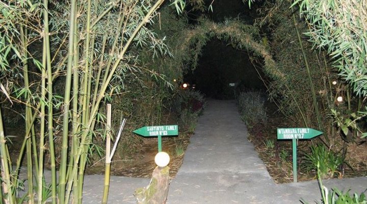 Le Bambou Gorilla Lodge