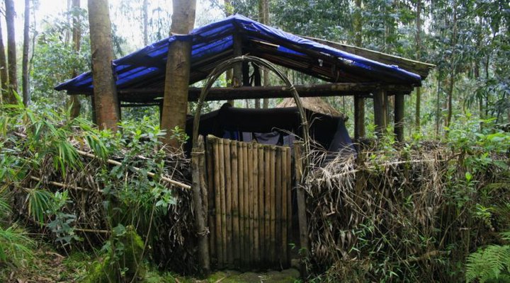 La Paillotte Gorilla Place Mitobo