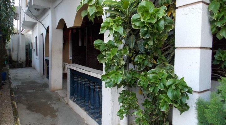 White Safari Guesthouse