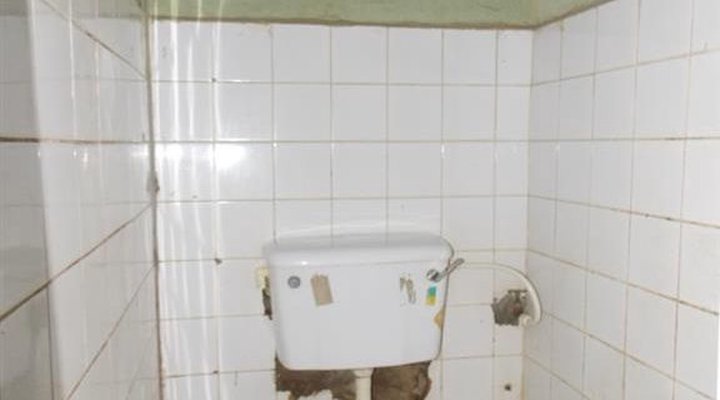 White Safari Guesthouse